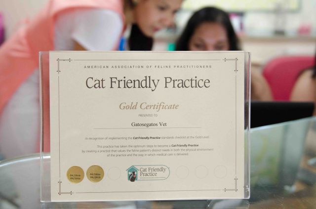 Certificação Cat friendly atualizada
